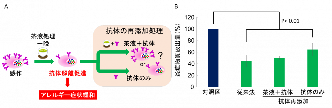 イチジク茶図2.png