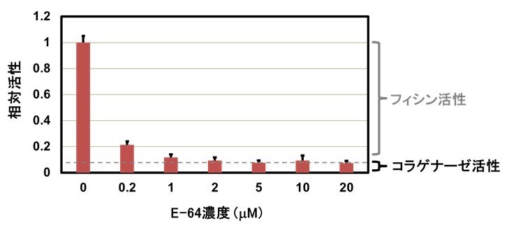 Nishimura2019-2.jpg