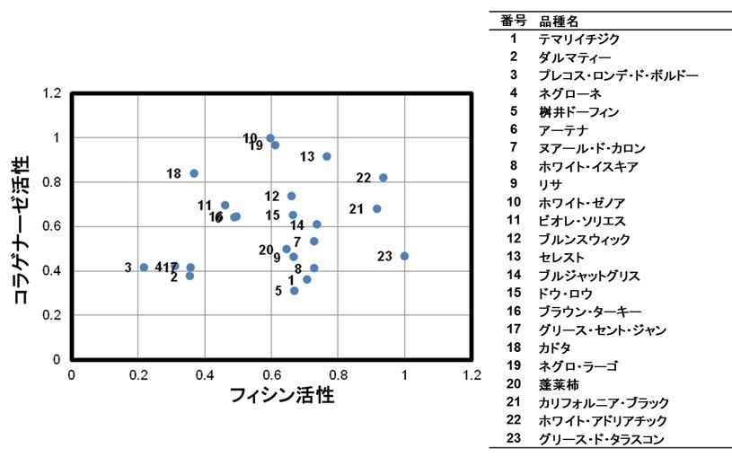 Nishimura2019-3.jpg