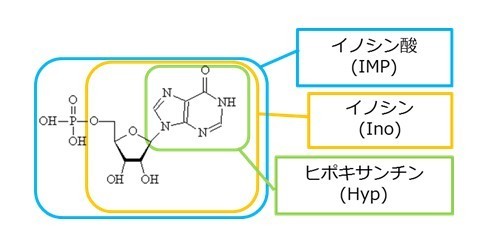 Sasai2019-1.jpg